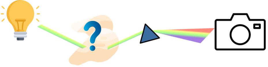 Illustration of spectroscopy being used to evaluate a meat product