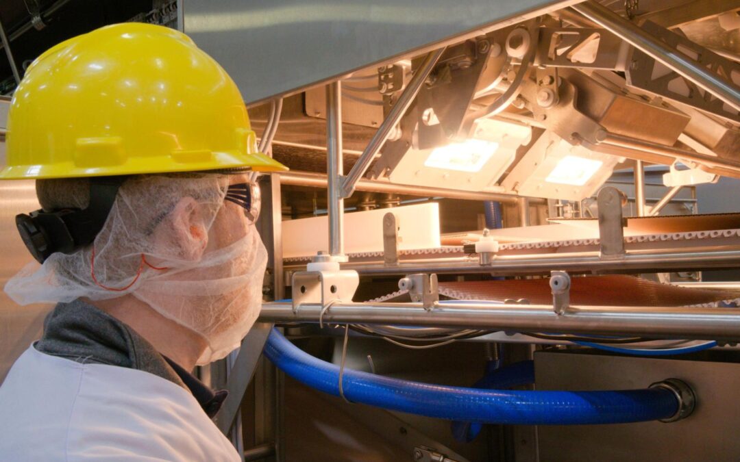 Are Food Inspectors Really Effective?