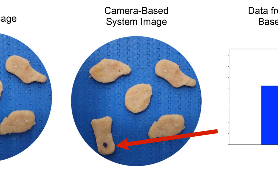 Vision Systems, Explained