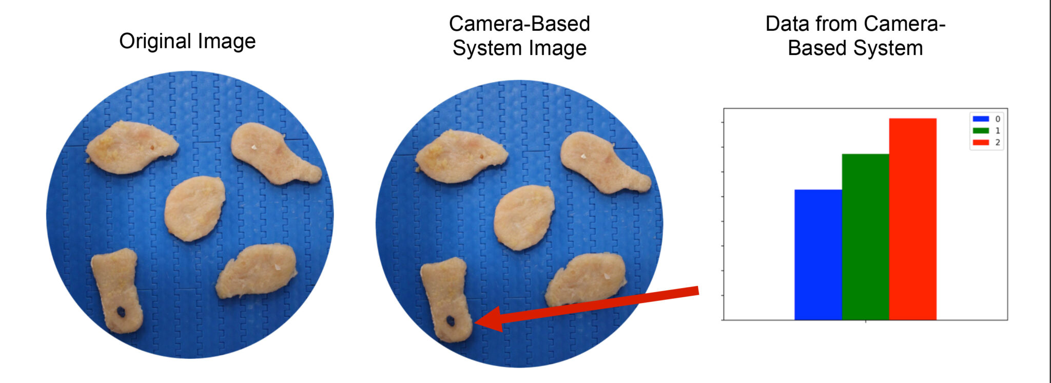 Foreign Material Detection on Chicken Nuggets with a camera-based system