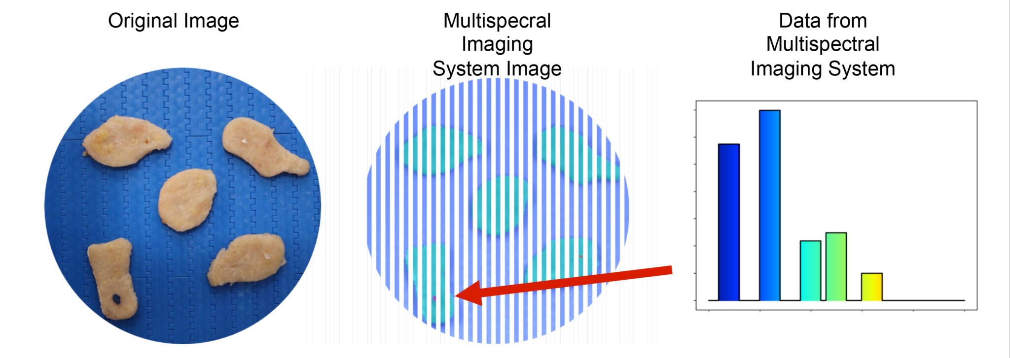 Foreign material detection on chicken nuggets using multispectral imaging