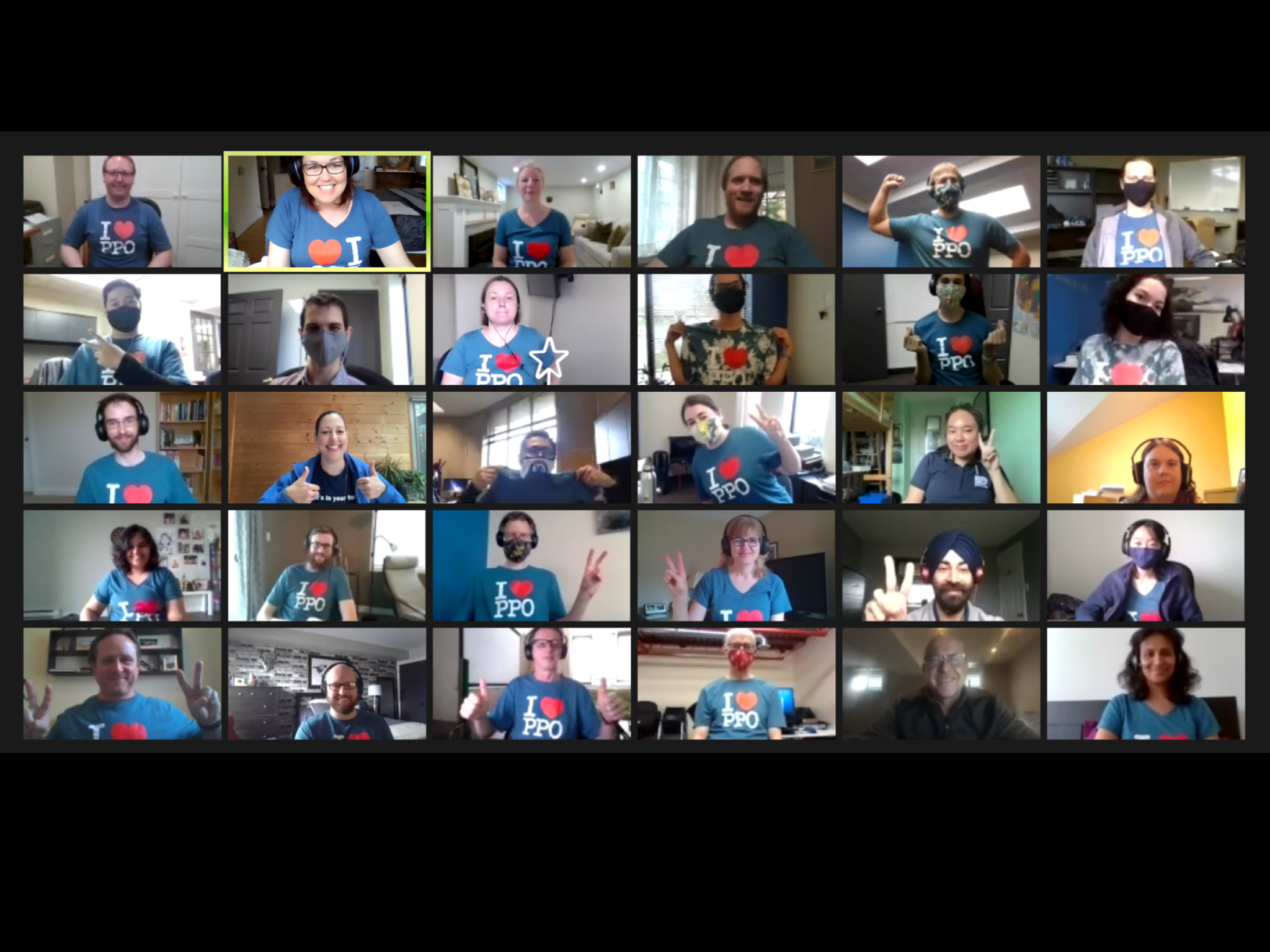 PPO team on zoom Screenshot of PPO team