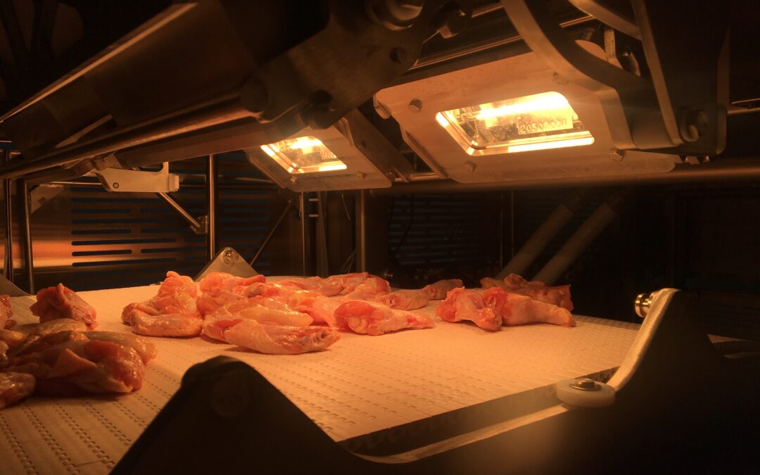 Developing Artificial Intelligence Models For a Meat Processing Plant