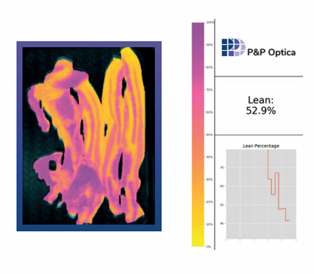 Photo of PPO's Insight page measuring lean point