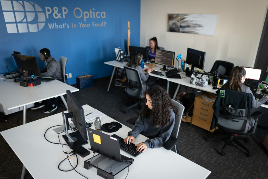 Employees working at computers in PPO's office