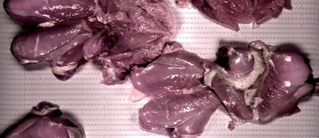 Raw butterfly breasts on PPO's Smart Imaging System