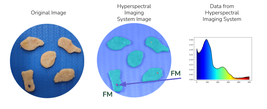 An imaging comparing an RGB photo to what hyperspectral imaging sees using a graph chart