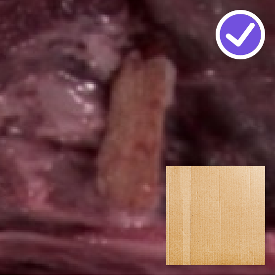 Cardboard