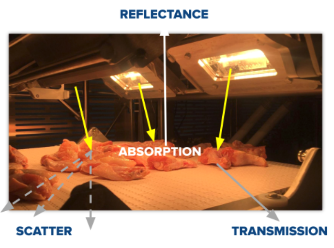Reflectance, Scatter and Transmission