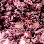 Case Study Image