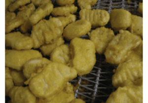 Nugget Image